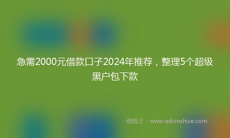 急需2000元借款口子2024年推荐，整理5个超级黑户包下款