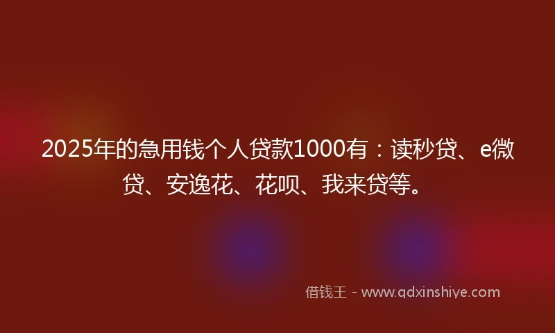 2025年的急用钱个人贷款1000有：读秒贷、e微贷、安逸花、花呗、我来贷等。
