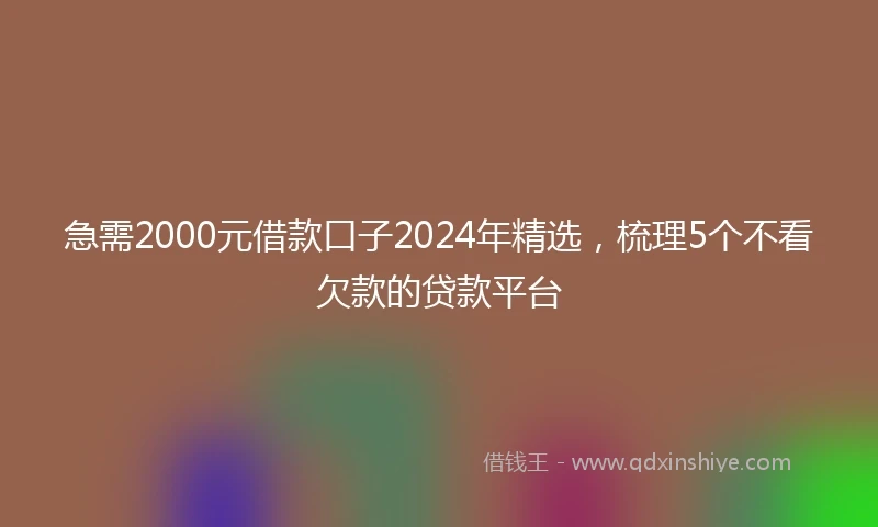 急需2000元借款口子2024年精选，梳理5个不看欠款的贷款平台