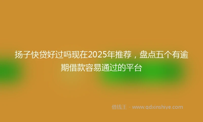 扬子快贷好过吗现在2025年推荐，盘点五个有逾期借款容易通过的平台