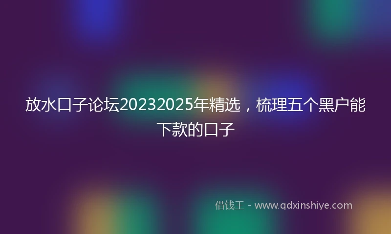 放水口子论坛20232025年精选，梳理五个黑户能下款的口子