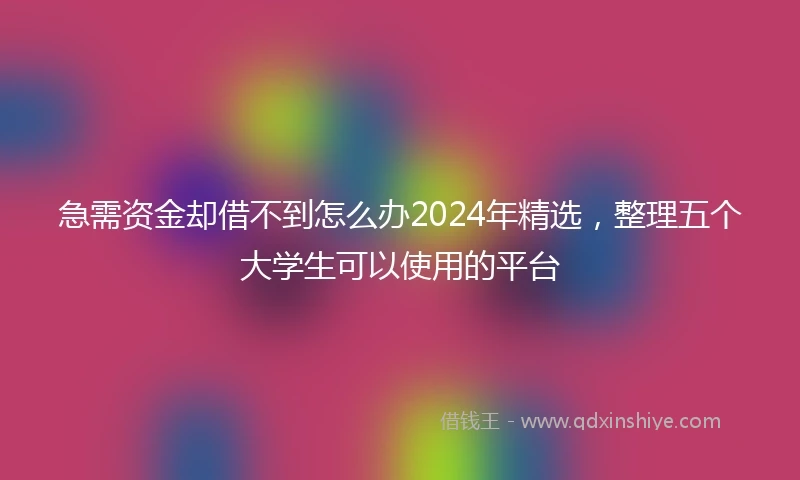 急需资金却借不到怎么办2024年精选，整理五个大学生可以使用的平台