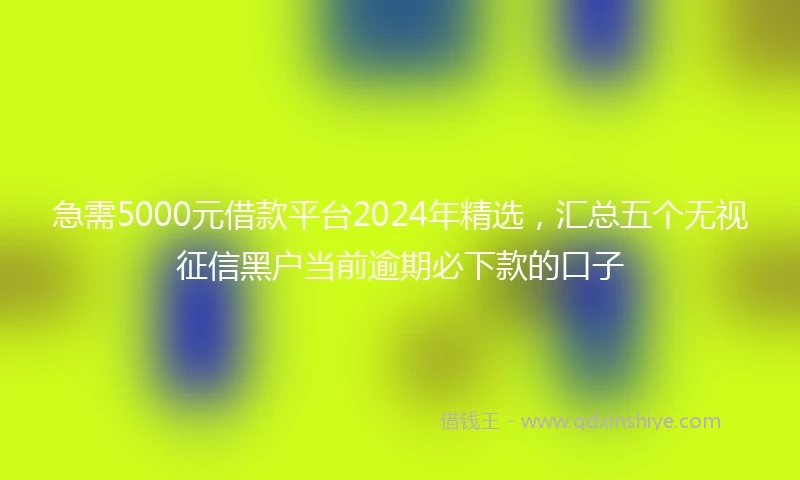 急需5000元借款平台2024年精选，汇总五个无视征信黑户当前逾期必下款的口子