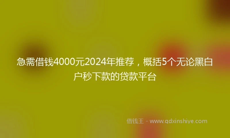 急需借钱4000元2024年推荐，概括5个无论黑白户秒下款的贷款平台