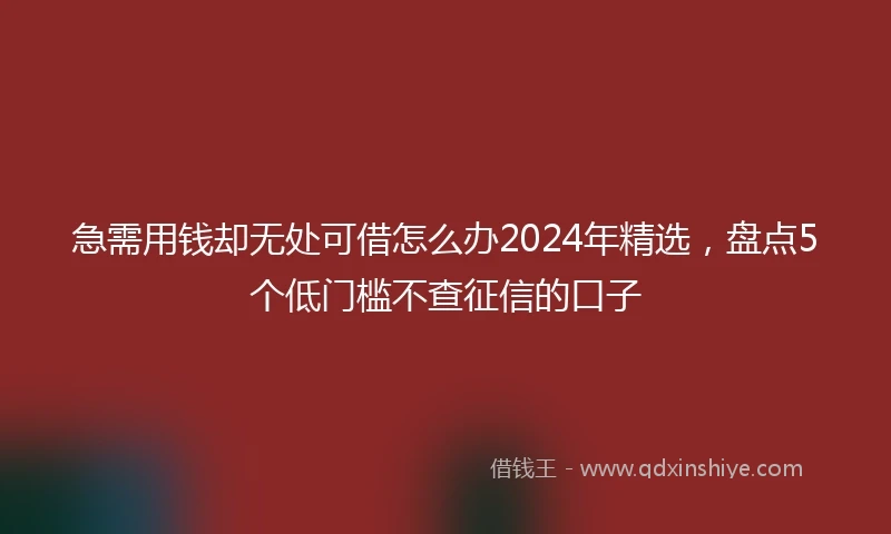 急需用钱却无处可借怎么办2024年精选，盘点5个低门槛不查征信的口子