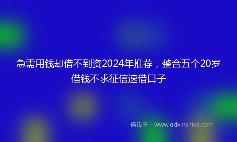 急需用钱却借不到资2024年推荐，整合五个20岁借钱不求征信速借口子