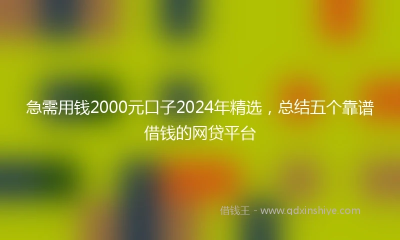 急需用钱2000元口子2024年精选，总结五个靠谱借钱的网贷平台
