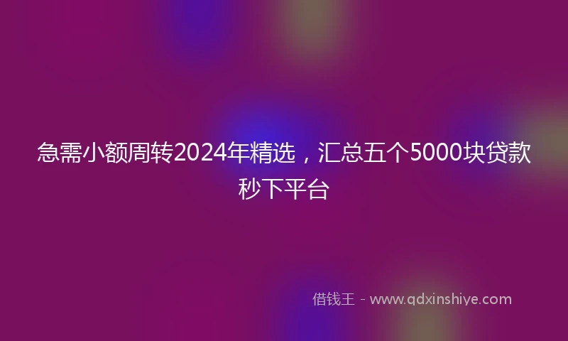 急需小额周转2024年精选，汇总五个5000块贷款秒下平台