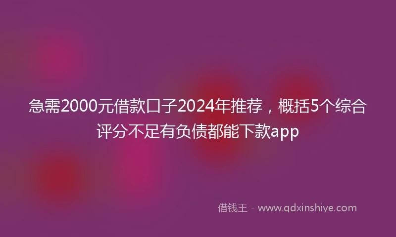急需2000元借款口子2024年推荐,概括5个综合评分不足有负债都能下款app