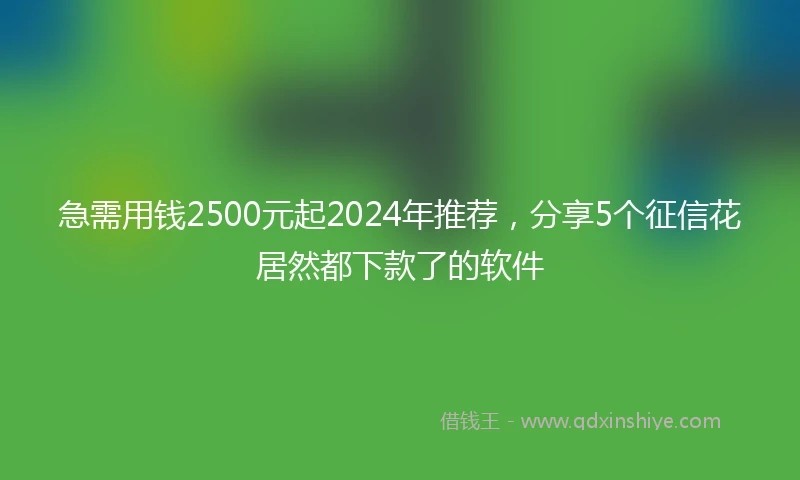 急需用钱2500元起2024年推荐，分享5个征信花居然都下款了的软件