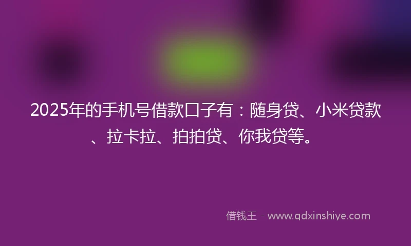 2025年的手机号借款口子有：随身贷、小米贷款、拉卡拉、拍拍贷、你我贷等。