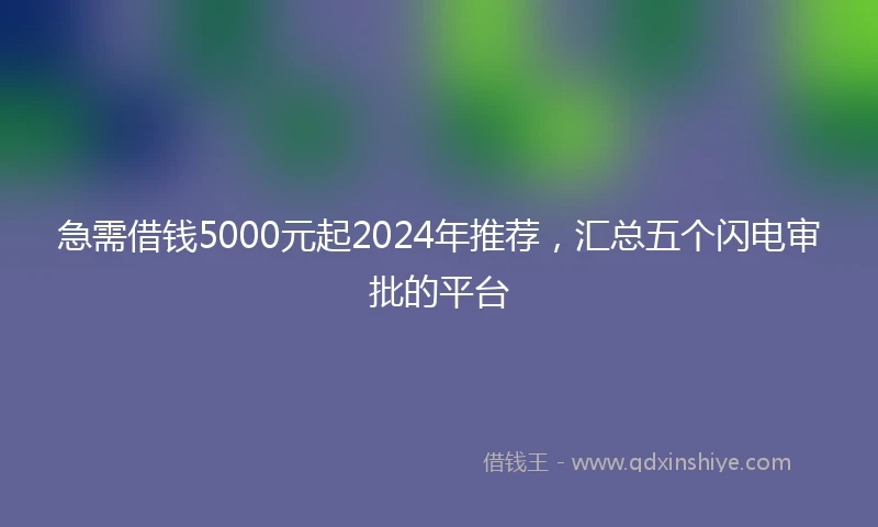 急需借钱5000元起2024年推荐，汇总五个闪电审批的平台
