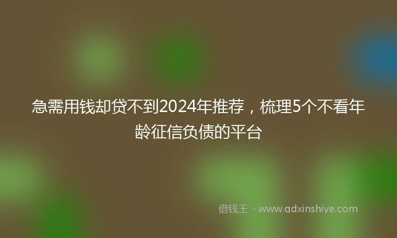 急需用钱却贷不到2024年推荐，梳理5个不看年龄征信负债的平台