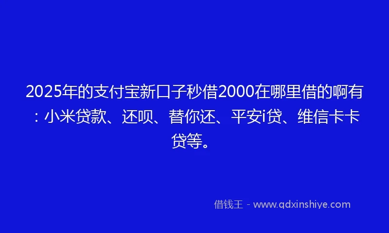 2025年的支付宝新口子秒借2000在哪里借的啊有：小米贷款、还呗、替你还、平安i贷、维信卡卡贷等。