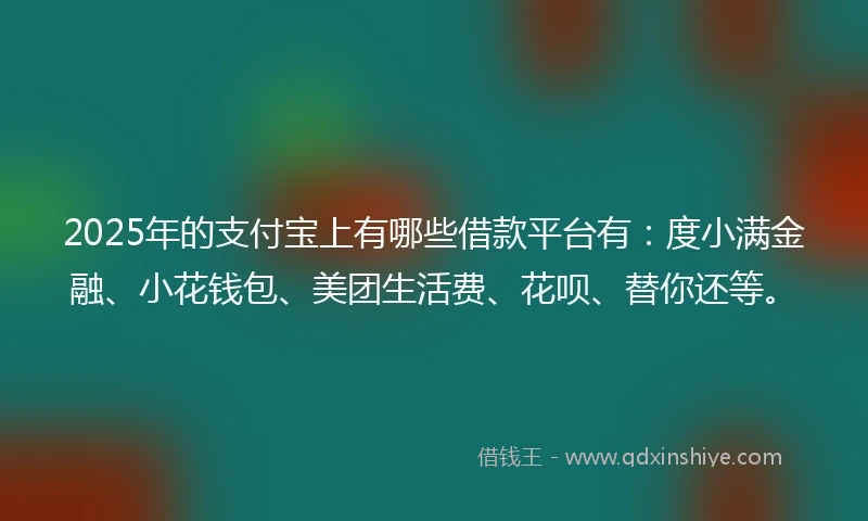 2025年的支付宝上有哪些借款平台有：度小满金融、小花钱包、美团生活费、花呗、替你还等。