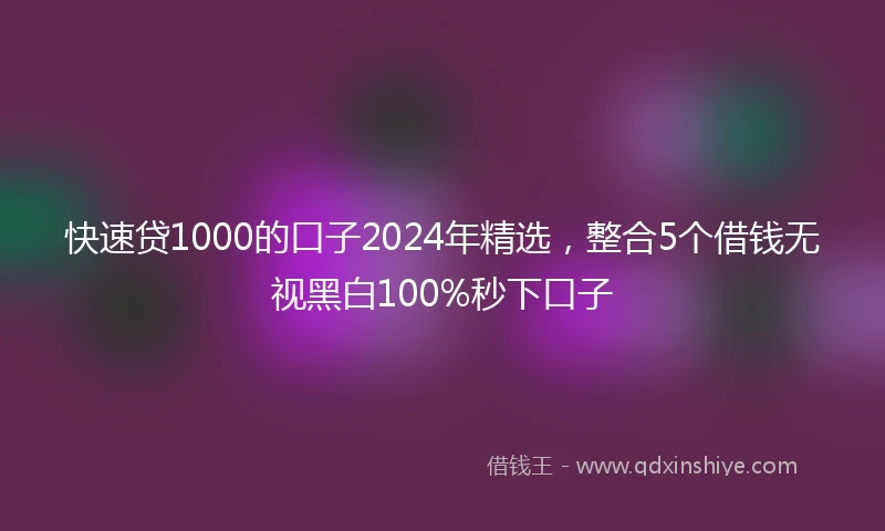 快速贷1000的口子2024年精选，整合5个借钱无视黑白100%秒下口子