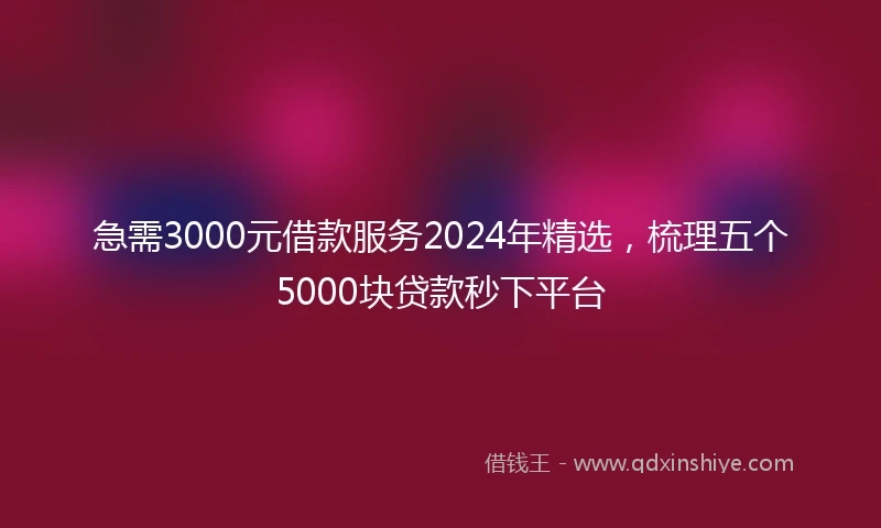 急需3000元借款服务2024年精选，梳理五个5000块贷款秒下平台