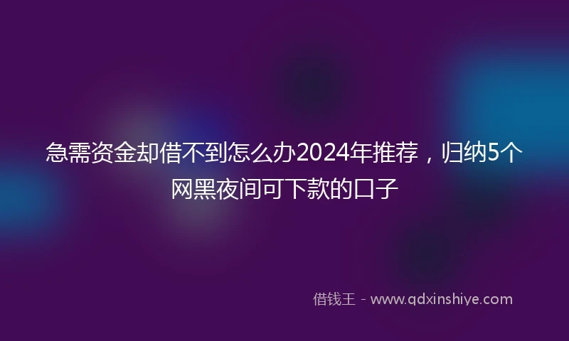 急需资金却借不到怎么办2024年推荐，归纳5个网黑夜间可下款的口子