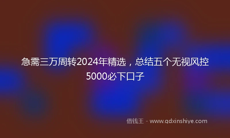 急需三万周转2024年精选，总结五个无视风控5000必下口子