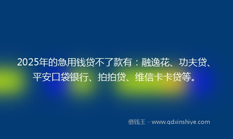 2025年的急用钱贷不了款有：融逸花、功夫贷、平安口袋银行、拍拍贷、维信卡卡贷等。