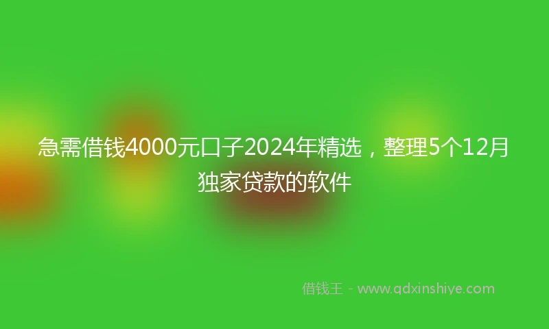 急需借钱4000元口子2024年精选，整理5个12月独家贷款的软件