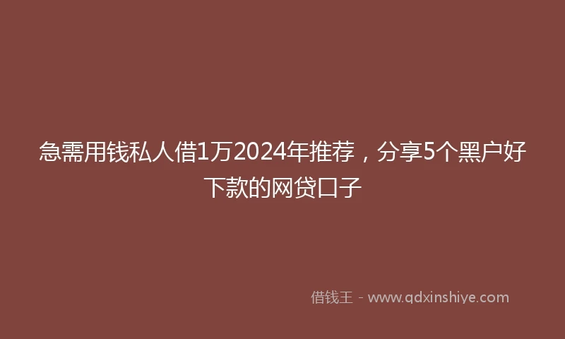 急需用钱私人借1万2024年推荐，分享5个黑户好下款的网贷口子