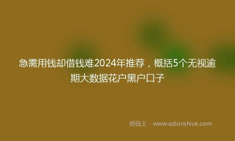 急需用钱却借钱难2024年推荐，概括5个无视逾期大数据花户黑户口子