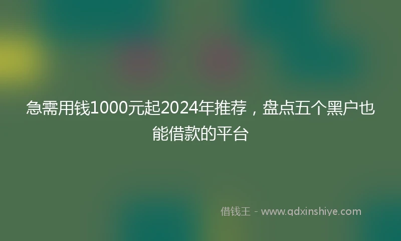 急需用钱1000元起2024年推荐，盘点五个黑户也能借款的平台