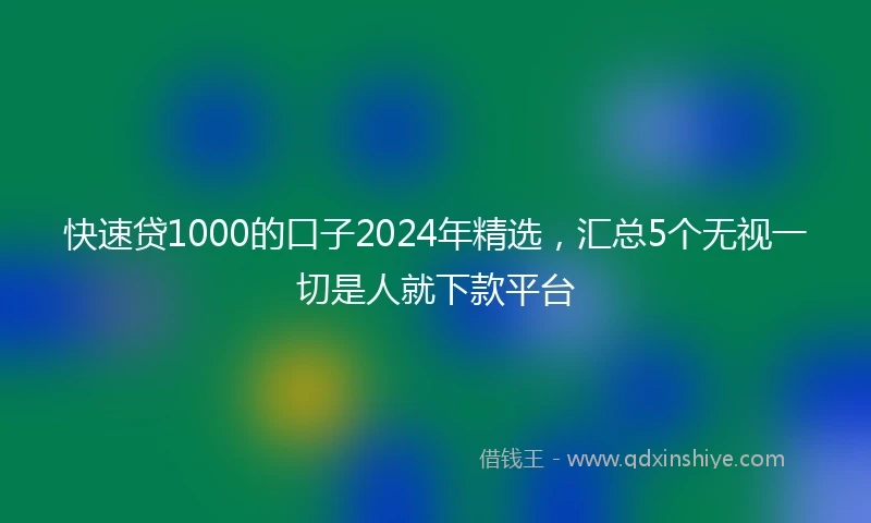 快速贷1000的口子2024年精选，汇总5个无视一切是人就下款平台