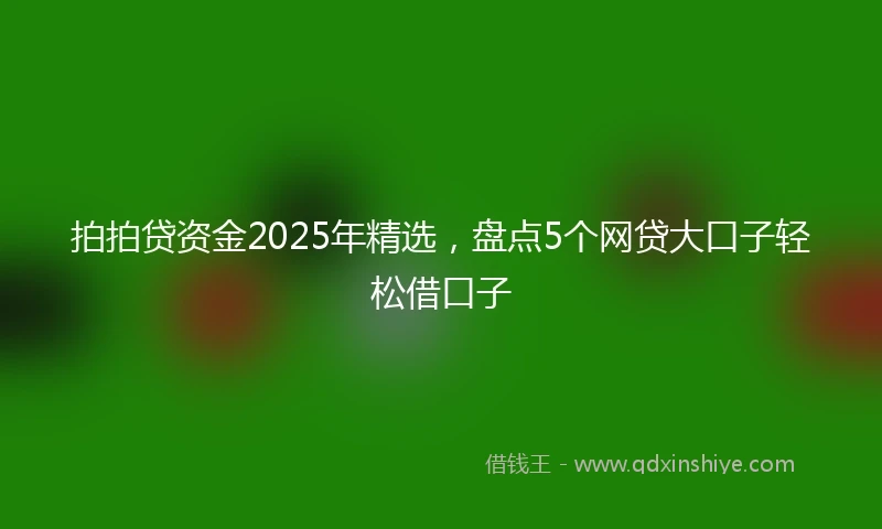 拍拍贷资金2025年精选，盘点5个网贷大口子轻松借口子