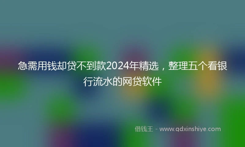 急需用钱却贷不到款2024年精选，整理五个看银行流水的网贷软件