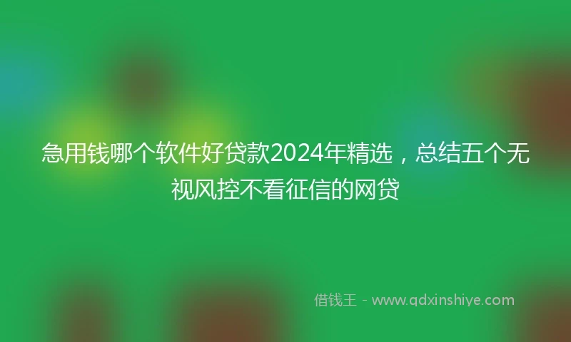 急用钱哪个软件好贷款2024年精选，总结五个无视风控不看征信的网贷