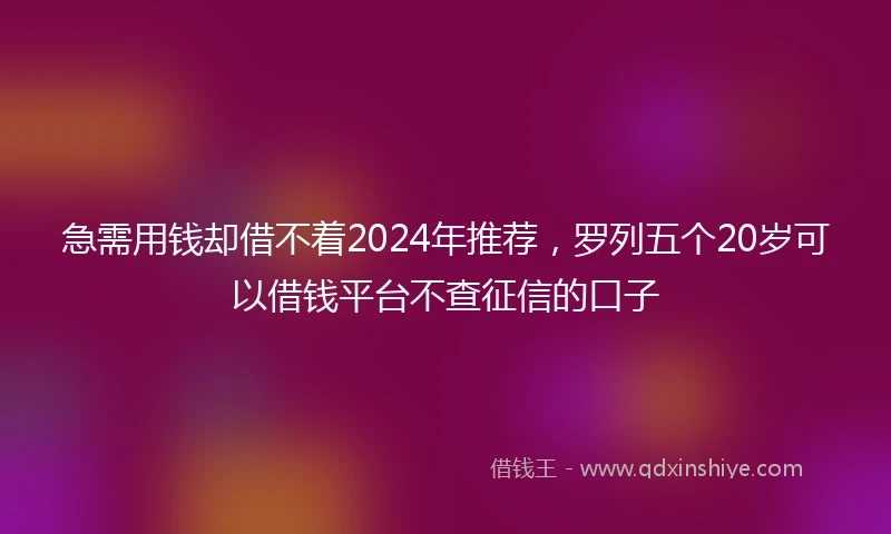 急需用钱却借不着2024年推荐，罗列五个20岁可以借钱平台不查征信的口子