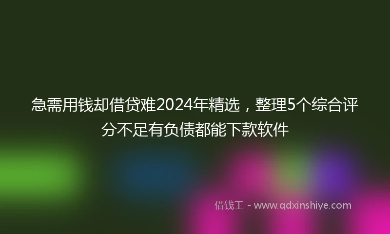 急需用钱却借贷难2024年精选，整理5个综合评分不足有负债都能下款软件