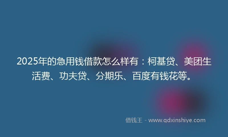 2025年的急用钱借款怎么样有：柯基贷、美团生活费、功夫贷、分期乐、百度有钱花等。