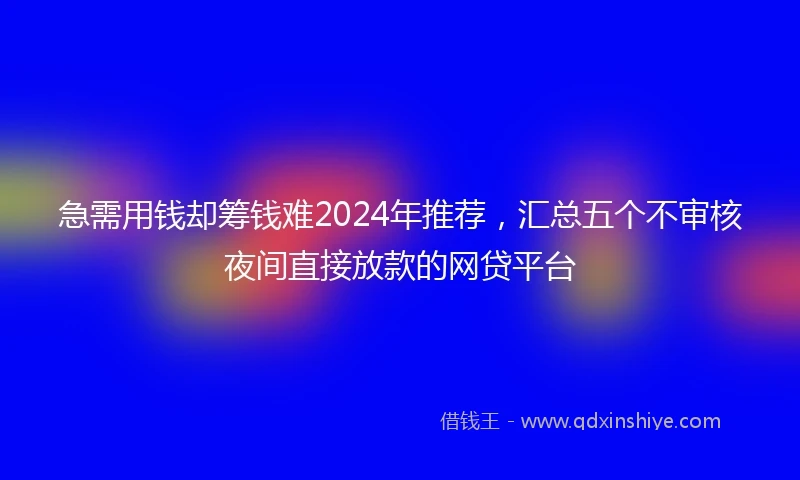 急需用钱却筹钱难2024年推荐，汇总五个不审核夜间直接放款的网贷平台