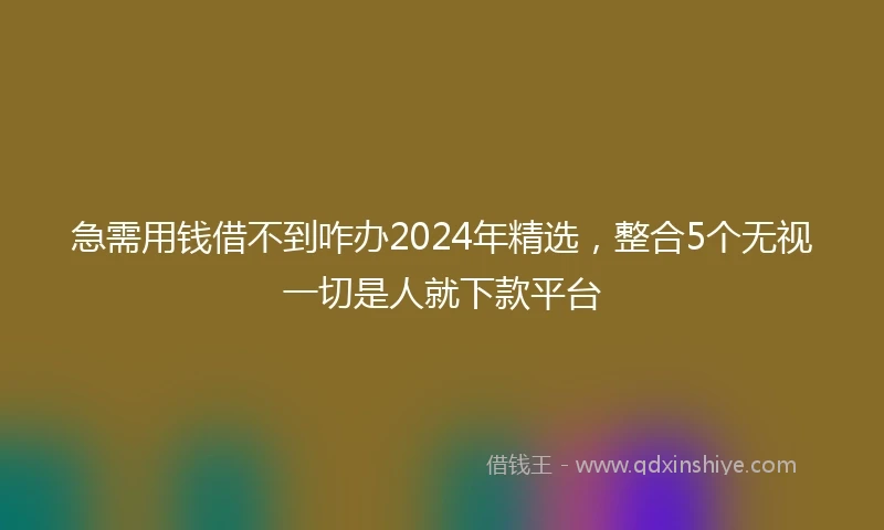 急需用钱借不到咋办2024年精选，整合5个无视一切是人就下款平台