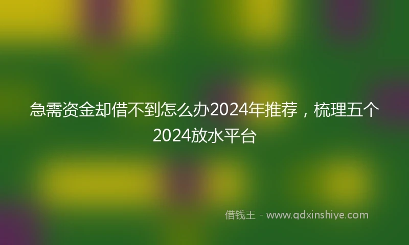 急需资金却借不到怎么办2024年推荐，梳理五个2024放水平台