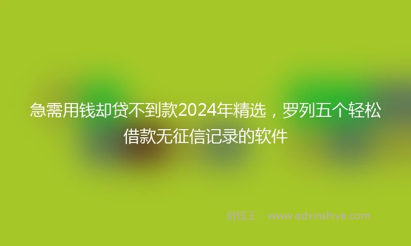急需用钱却贷不到款2024年精选，罗列五个轻松借款无征信记录的软件