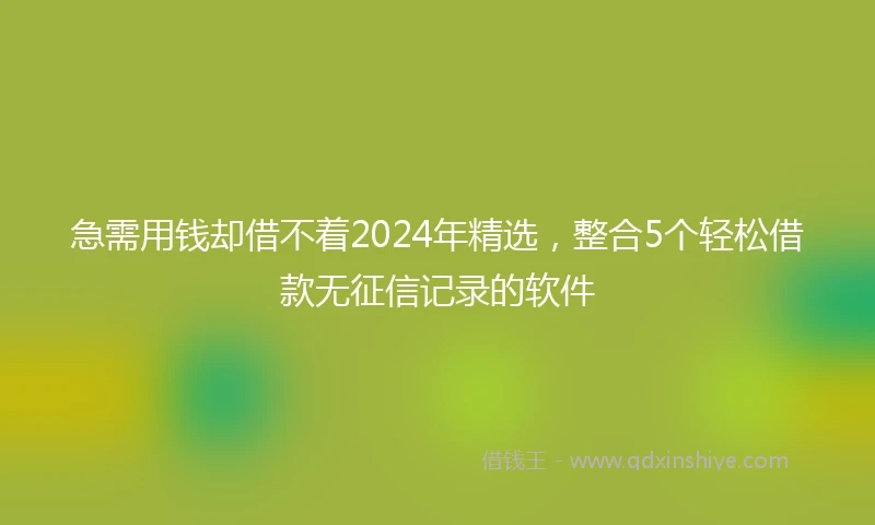 急需用钱却借不着2024年精选，整合5个轻松借款无征信记录的软件