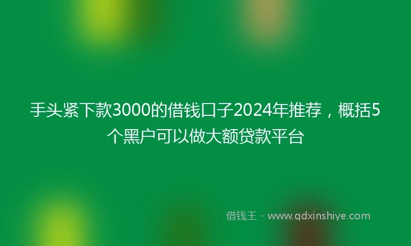 手头紧下款3000的借钱口子2024年推荐，概括5个黑户可以做大额贷款平台