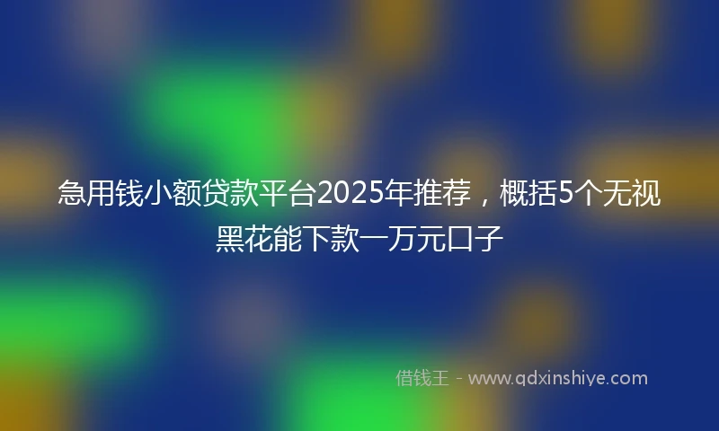 急用钱小额贷款平台2025年推荐，概括5个无视黑花能下款一万元口子
