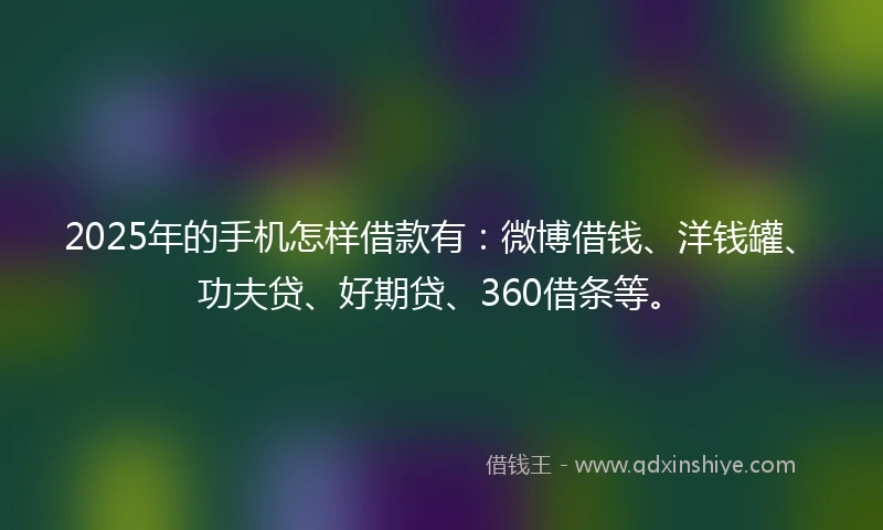 2025年的手机怎样借款有：微博借钱、洋钱罐、功夫贷、好期贷、360借条等。