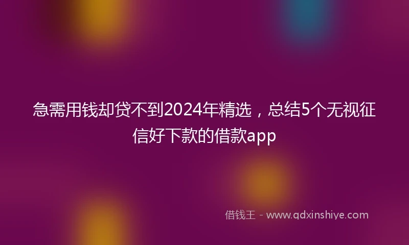 急需用钱却贷不到2024年精选，总结5个无视征信好下款的借款app