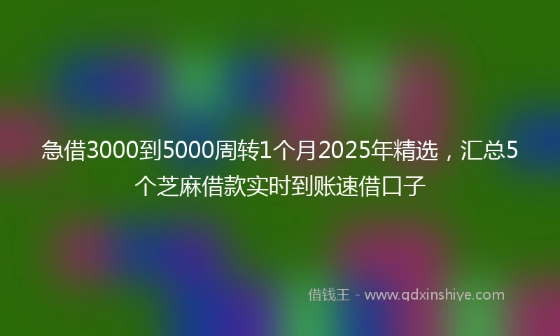 急借3000到5000周转1个月2025年精选，汇总5个芝麻借款实时到账速借口子