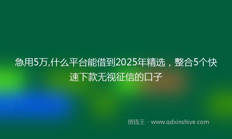 急用5万,什么平台能借到2025年精选，整合5个快速下款无视征信的口子
