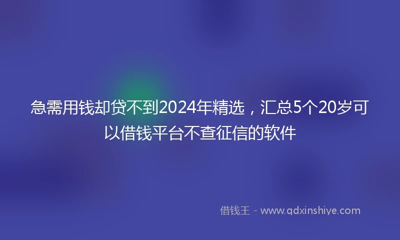 急需用钱却贷不到2024年精选，汇总5个20岁可以借钱平台不查征信的软件