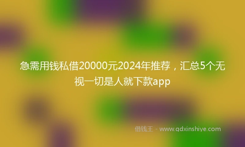 急需用钱私借20000元2024年推荐，汇总5个无视一切是人就下款app