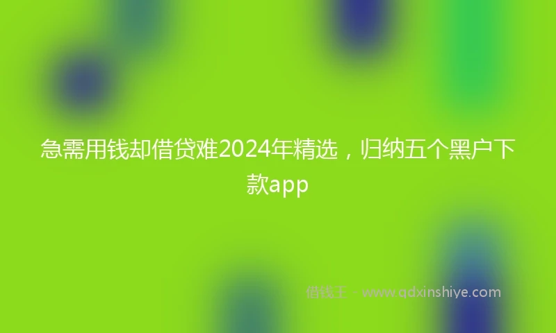 急需用钱却借贷难2024年精选，归纳五个黑户下款app