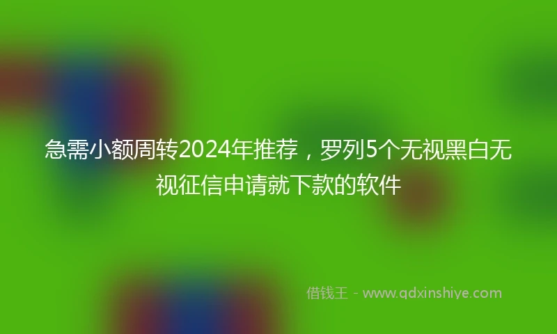 急需小额周转2024年推荐，罗列5个无视黑白无视征信申请就下款的软件